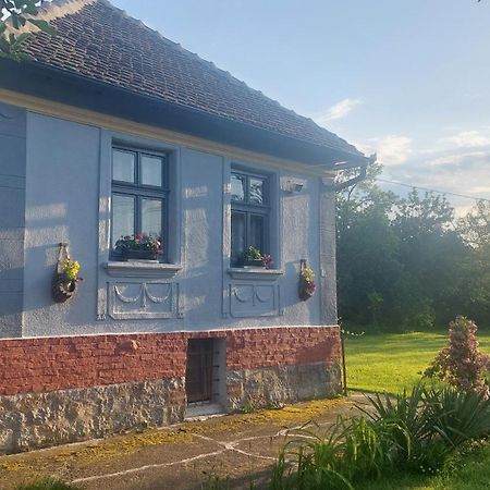 Apartmani Petkovic 226 Velika Drenova 외부 사진