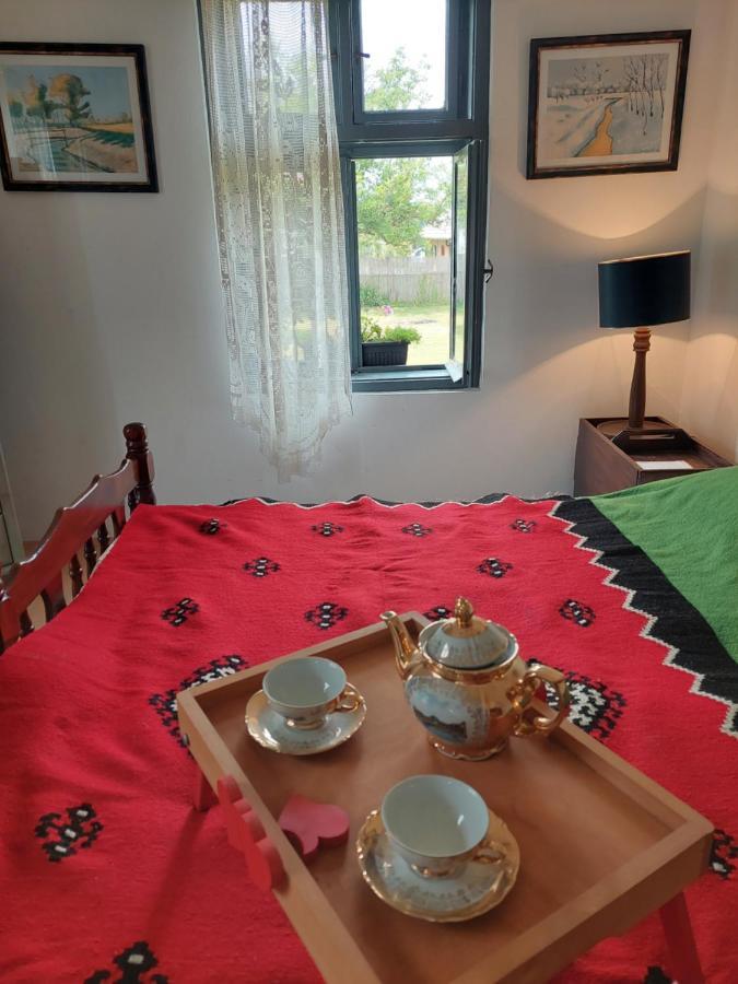 Apartmani Petkovic 226 Velika Drenova 외부 사진