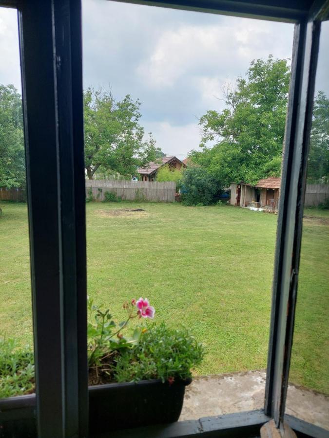 Apartmani Petkovic 226 Velika Drenova 외부 사진