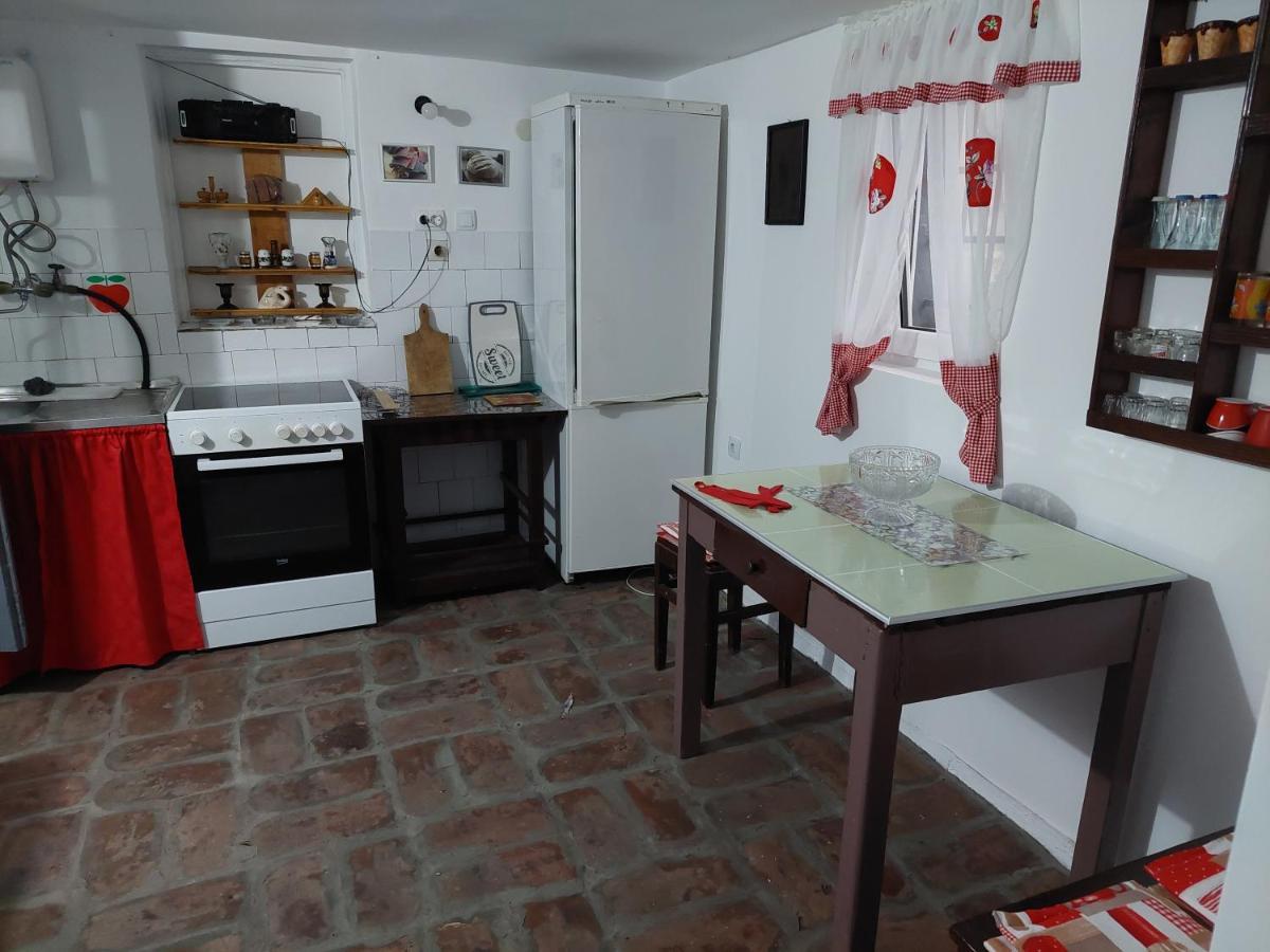 Apartmani Petkovic 226 Velika Drenova 외부 사진