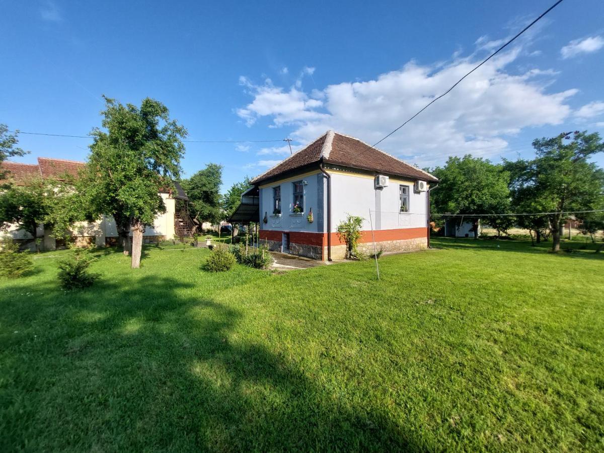 Apartmani Petkovic 226 Velika Drenova 외부 사진