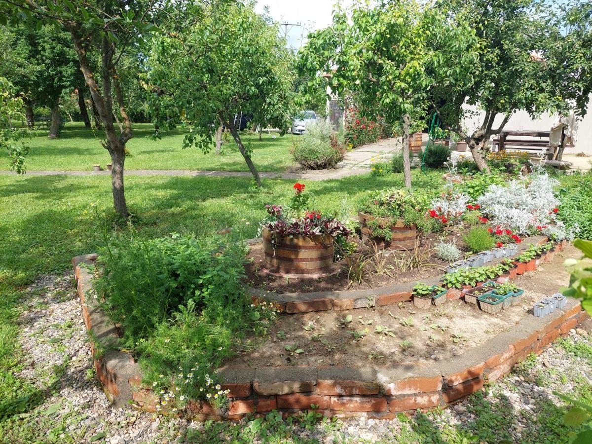 Apartmani Petkovic 226 Velika Drenova 외부 사진